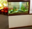 Aquarium-Built-Into-Wall