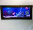 Aquarium-in-picture-frame2