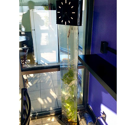 Clock-Aquarium-Maintenance