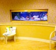 Curved-Wall-Aquarium-Maintenance