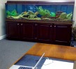 Home-Office--Aquarium-Maintenance