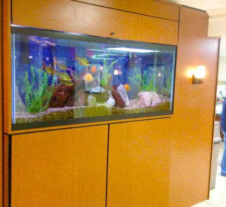 Hotel-Lobby-Aquarium-Maintenance