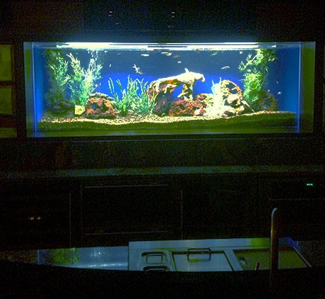 Kitchen-Aquarium-At-Night