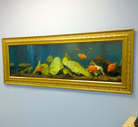 Large-Picture-Frame-Aquarium-Maintenance