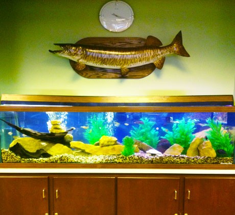 Massive-Home-aquarium