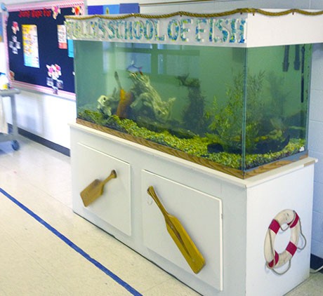 School-Aquarium-Maintenance