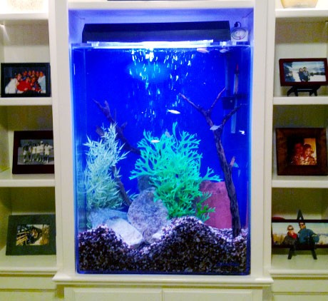 TV-Cabinet-converted-for-aquarium