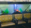 Waiting-Room-Divider-aquarium-fish-tank