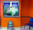 large-waiting-room-Aquarium-Maintenance