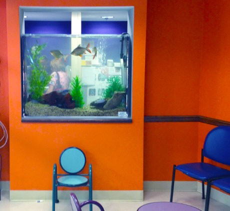 large-waiting-room-Aquarium-Maintenance