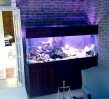 law-office-Aquarium-Maintenance